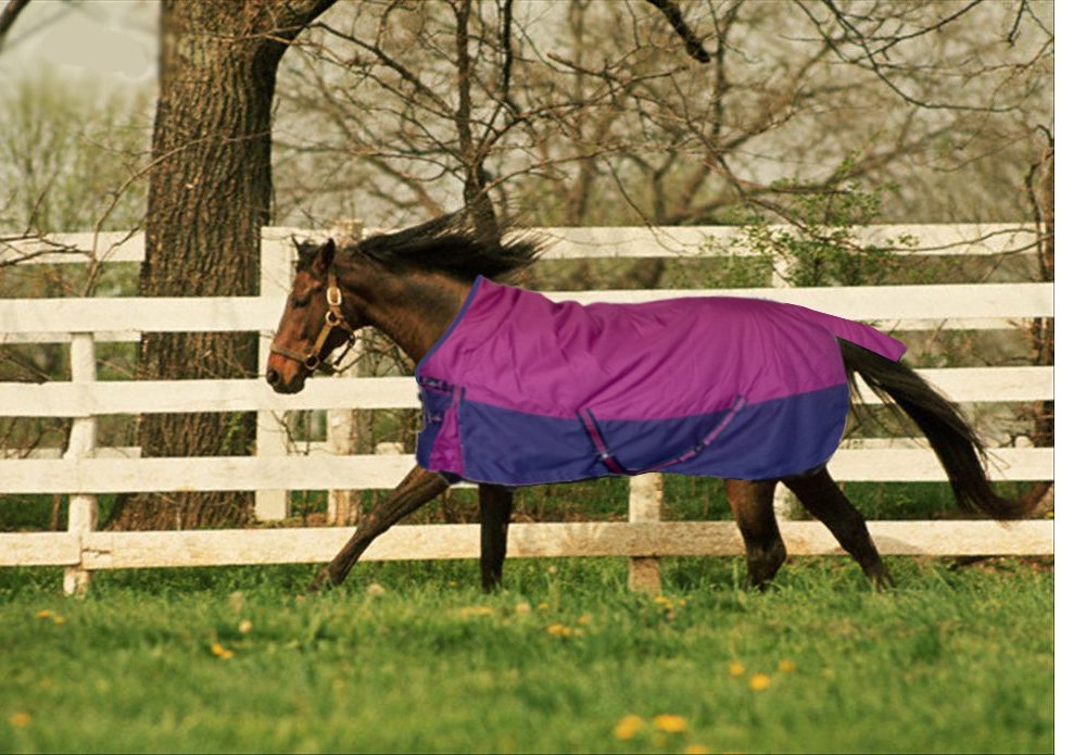 1680D Waterproof Turnout Horse Blanket for Winter - Heavy Duty 1680 Denier Ripstop, Purple & Navy Blue (83 Inches) - Ideal for Cold Weather, Rain, Snow & Outdoor Stable Use