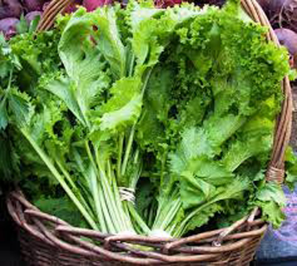 Heirloom Non-GMO Old Fashioned Mustard Green Seeds - 25+ Premium Organic Seeds for Home Gardening, Salads & Pickling