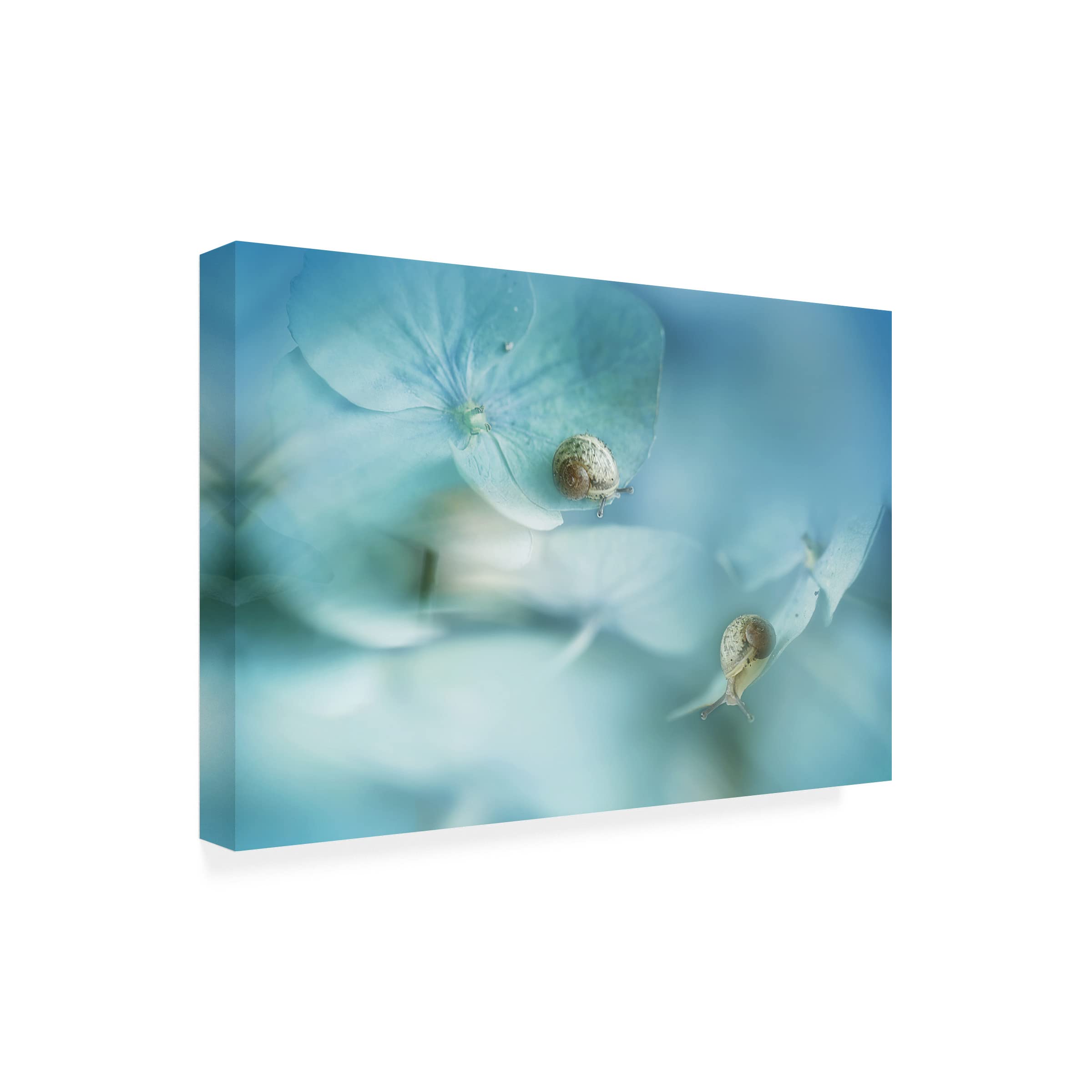 Dreamworld Canvas Art Print by Ellen van Deelen - Modern Wall Decor for Living Room, Bedroom & Office - Handmade Fine Art Painting for Home & Office Decor