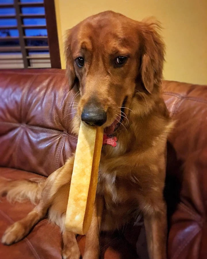 Premium Himalayan Yak Cheese Dog Chews - All-Natural, Long-Lasting Dental Treats for Medium & Large Dogs - High Protein Chew Toys for Aggressive Chewers - Perfect for Training Rewards & Teeth Cleaning