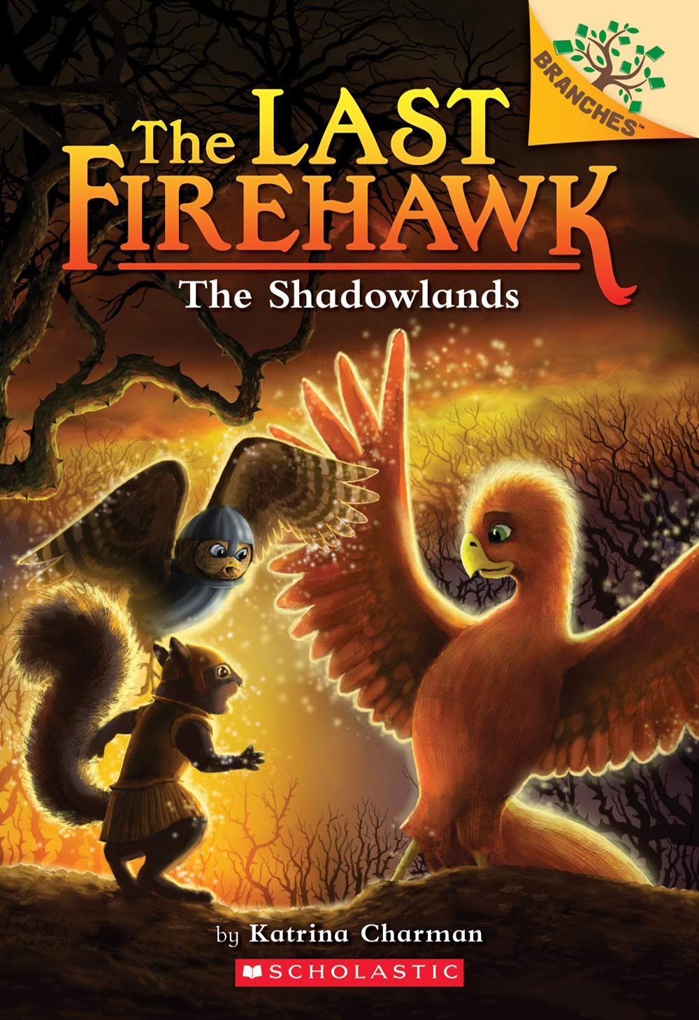The Last Firehawk Complete Book Series Set (Books 1-10) - Fantasy Adventure Chapter Books for Kids Ages 6-10 - Perfect for Bedtime Reading & Classroom Libraries