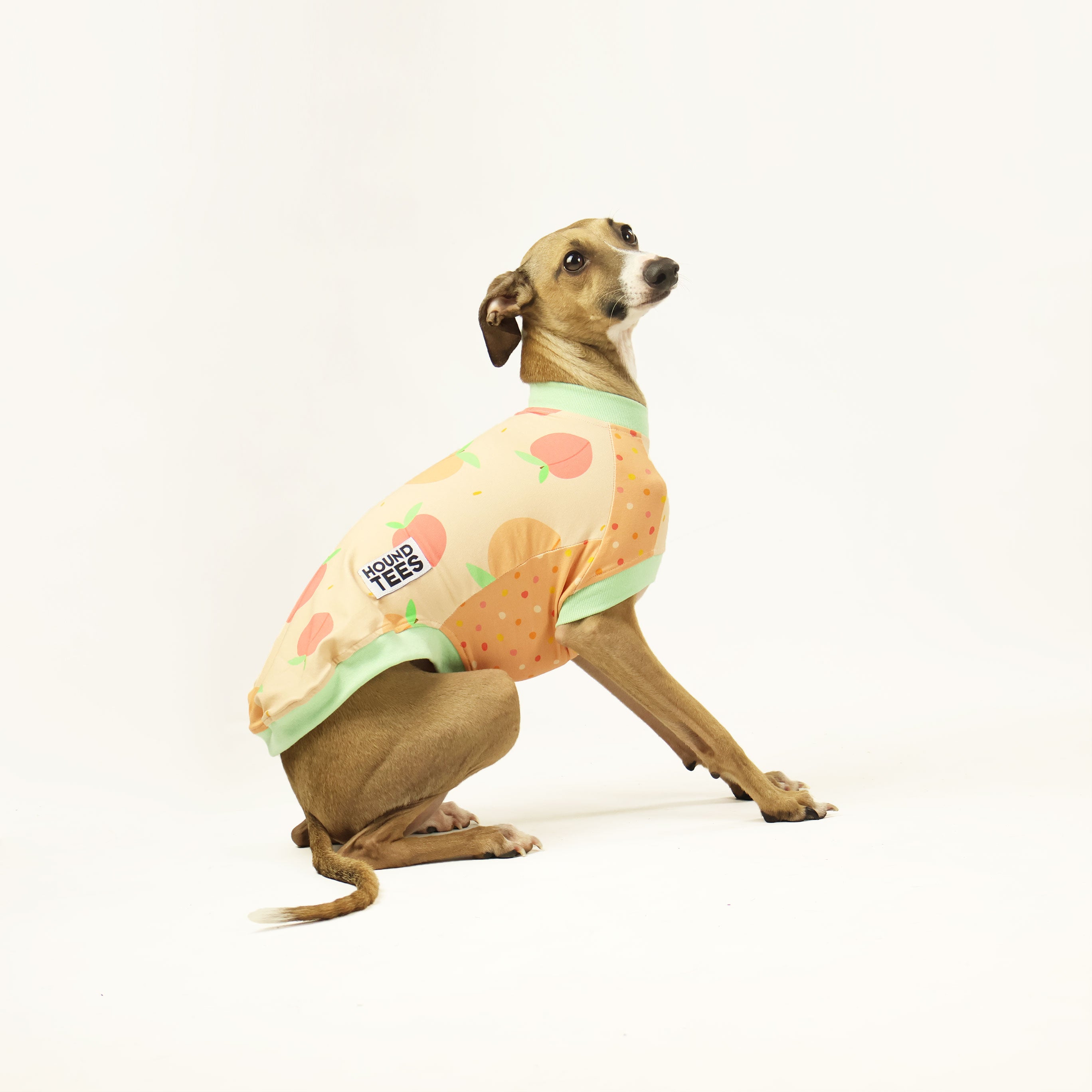 Italian Greyhound Sleeveless Dog T-Shirt - Comfortable Breathable Pet Tee for Small Dogs - Perfect for Summer Walks & Outdoor Adventures