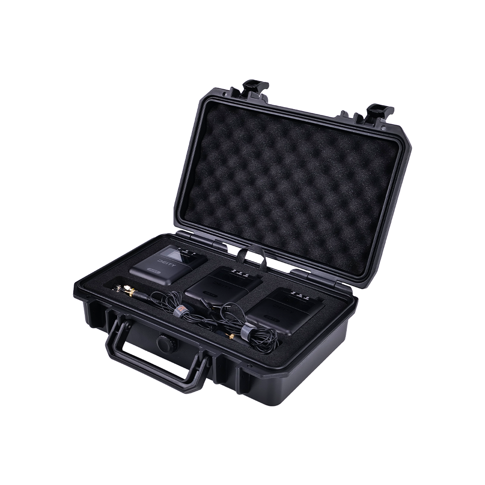 THEOS Digital Wireless 2 Channel Microphone System Kit - Global Version for Professional Audio Recording, Live Streaming & Podcasting