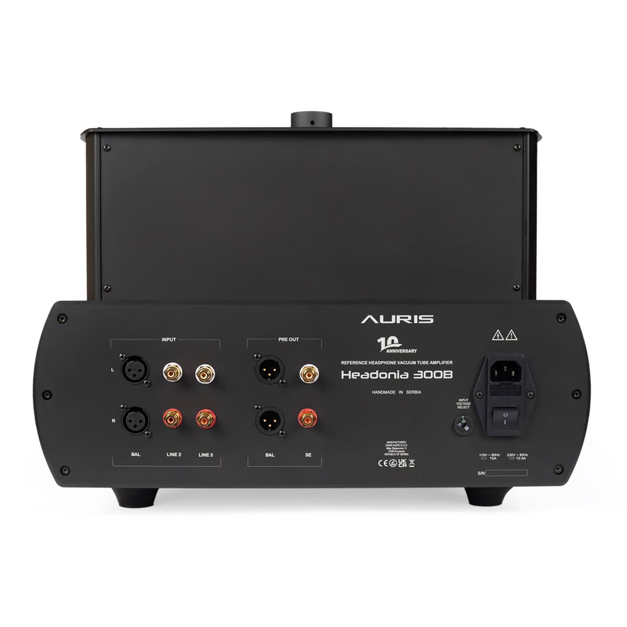 Auris Headonia 300B Premium Tube Headphone Amplifier - High-End Audio for Audiophiles & Home Listening Stations
