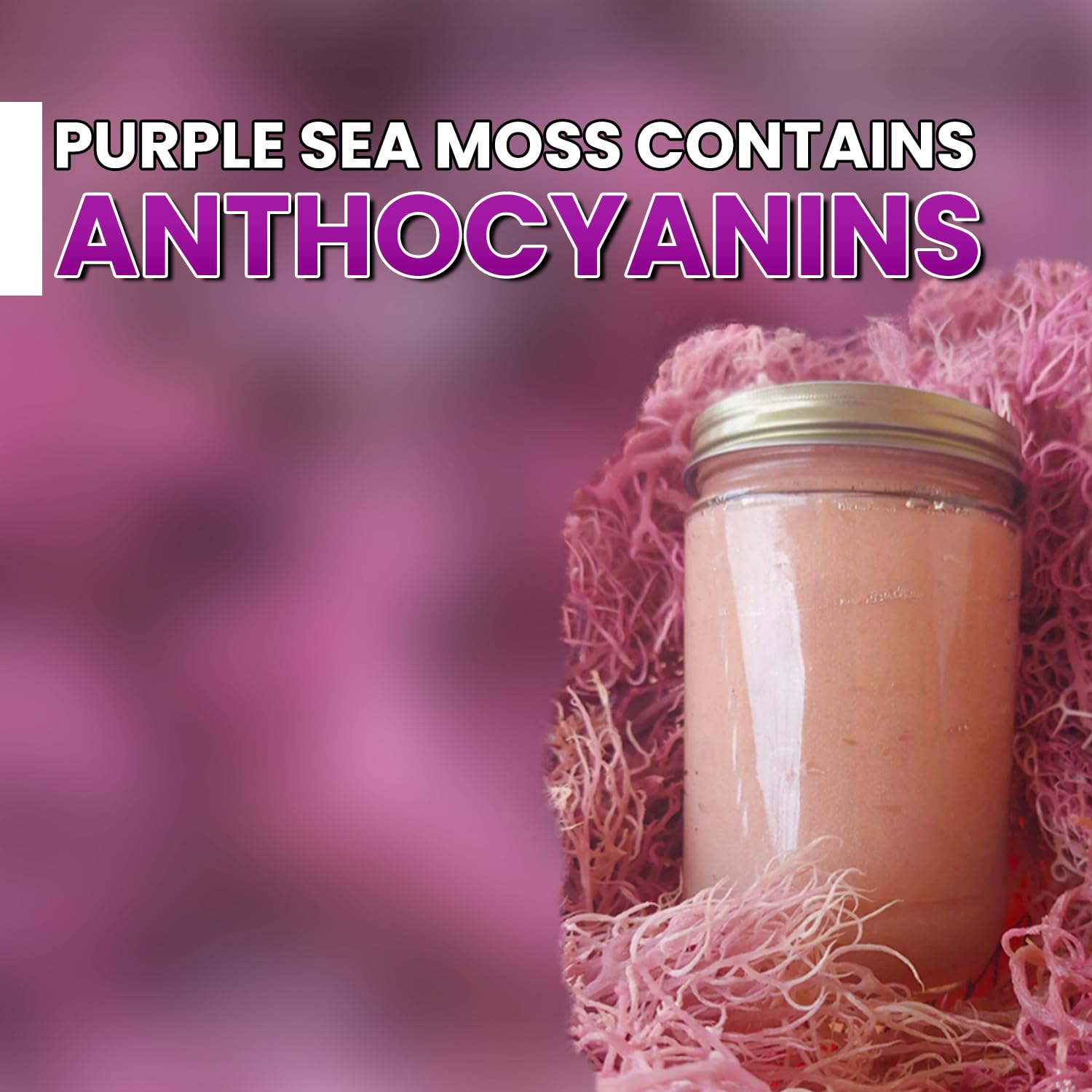 Pure Wildcrafted Purple Irish Sea Moss - Nutrient-Rich, Dr. Sebi Inspired, Makes 240+ oz Gel | Sun-Dried Raw Seaweed for Health & Wellness (16 oz) | Perfect for Smoothies, Face Masks & Immune Support