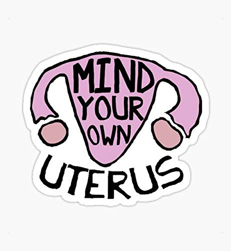 Mind Your Own Uterus Stickers - Pack of 3 Waterproof Vinyl Decals for Cars, Laptops, Windows, Trucks & Walls - Feminist Political Statement Stickers - Perfect for Bumper Stickers, Laptop Decals & Home Decor