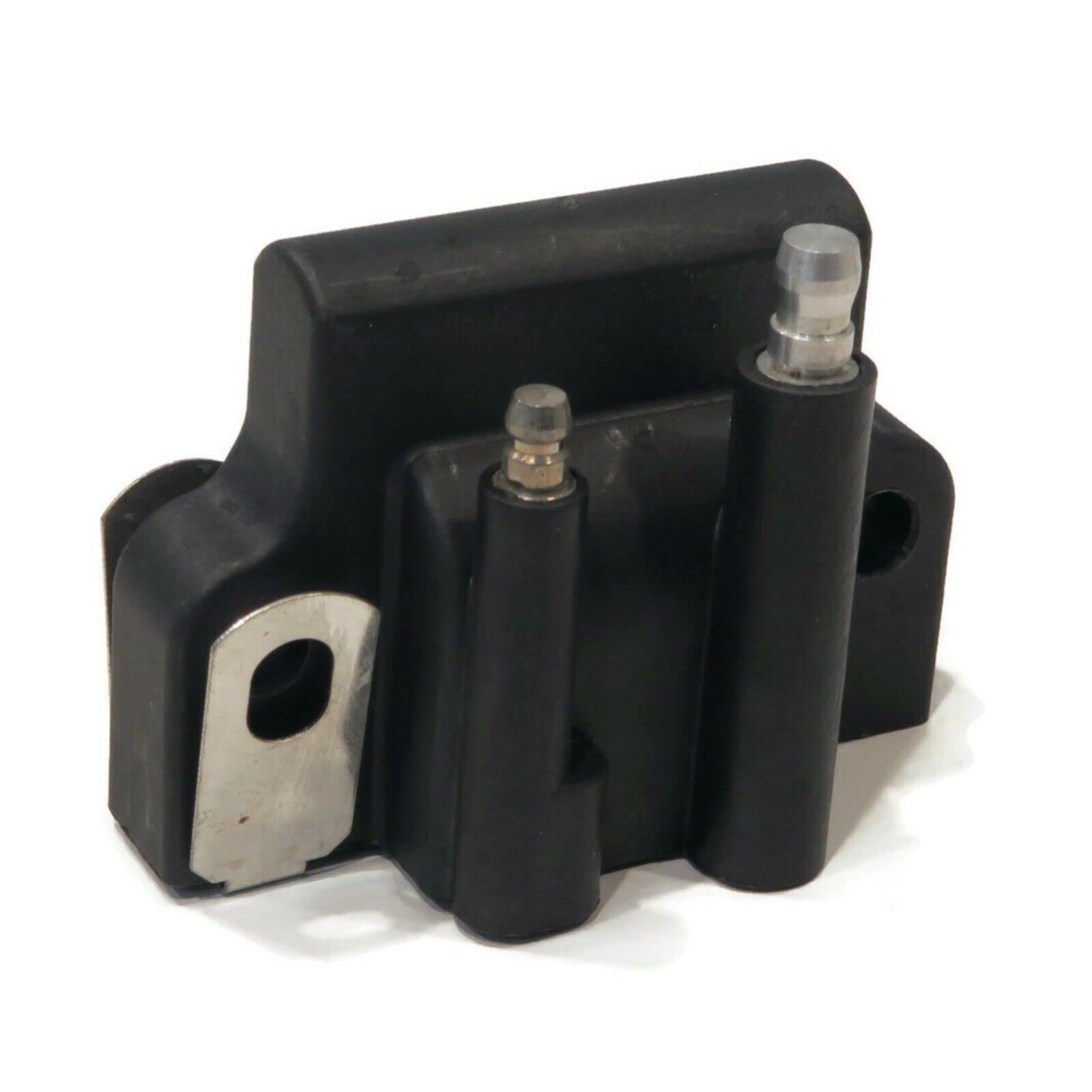Ignition Coil Module Compatible with 1998 Johnson 2 HP J2RECS & 2.3 HP J2RSS Outboard Engine - Replacement Part for Marine Boat Motor Repair & Maintenance