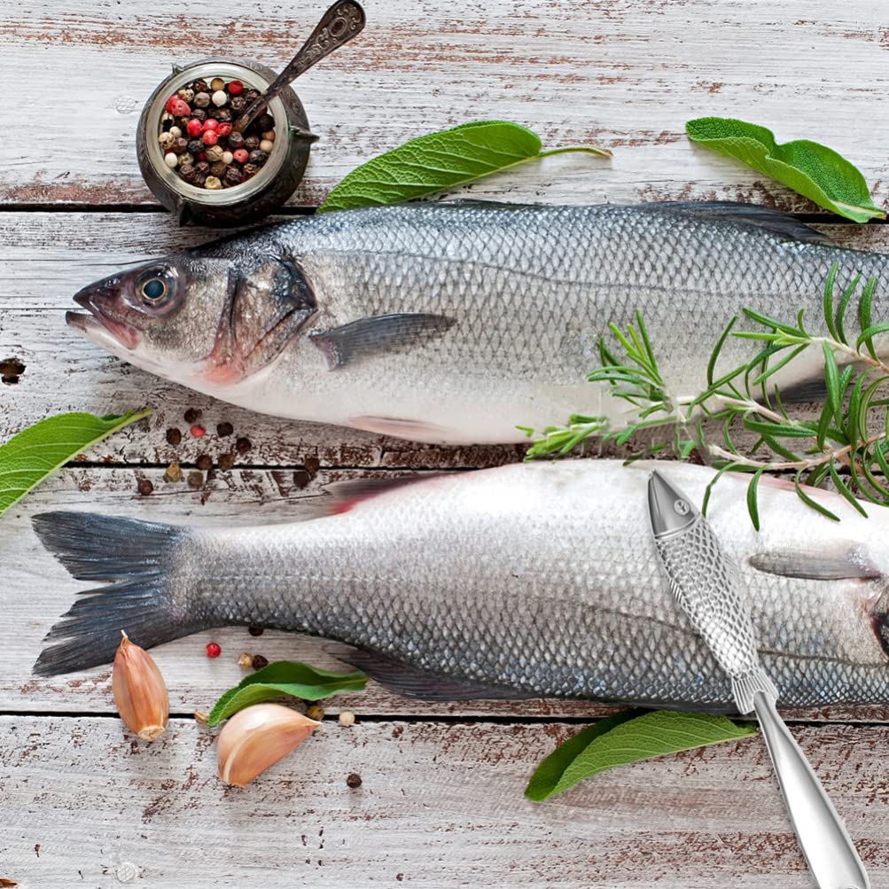 Hemoton Fish Scale Remover & Cleaner - Stainless Steel Fish Scaler Tool for Kitchen, Camping, Fishing - Perfect for Salmon, Tilapia, Bass & Seafood Preparation