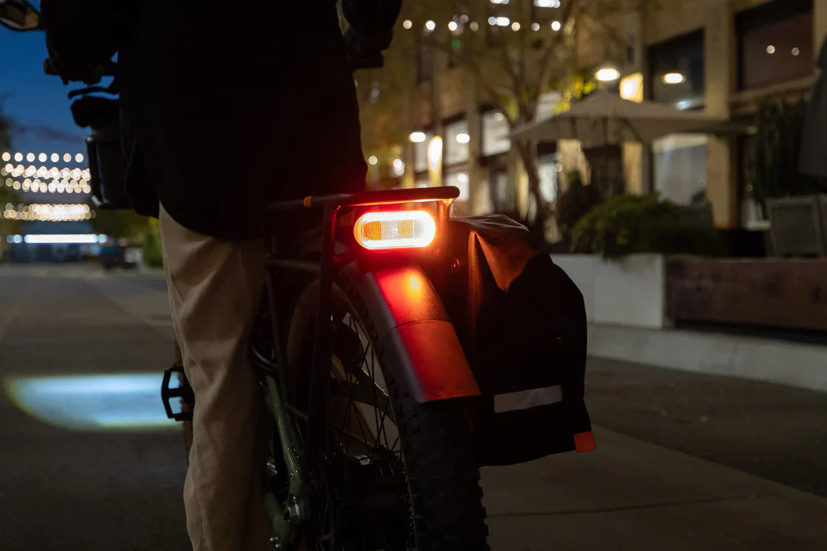 Radster™ Trail Electric Off Road Bike - 500W Motor, 20