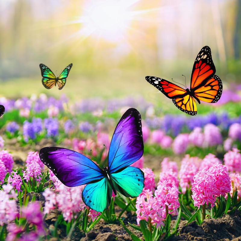 Blissful Butterflies