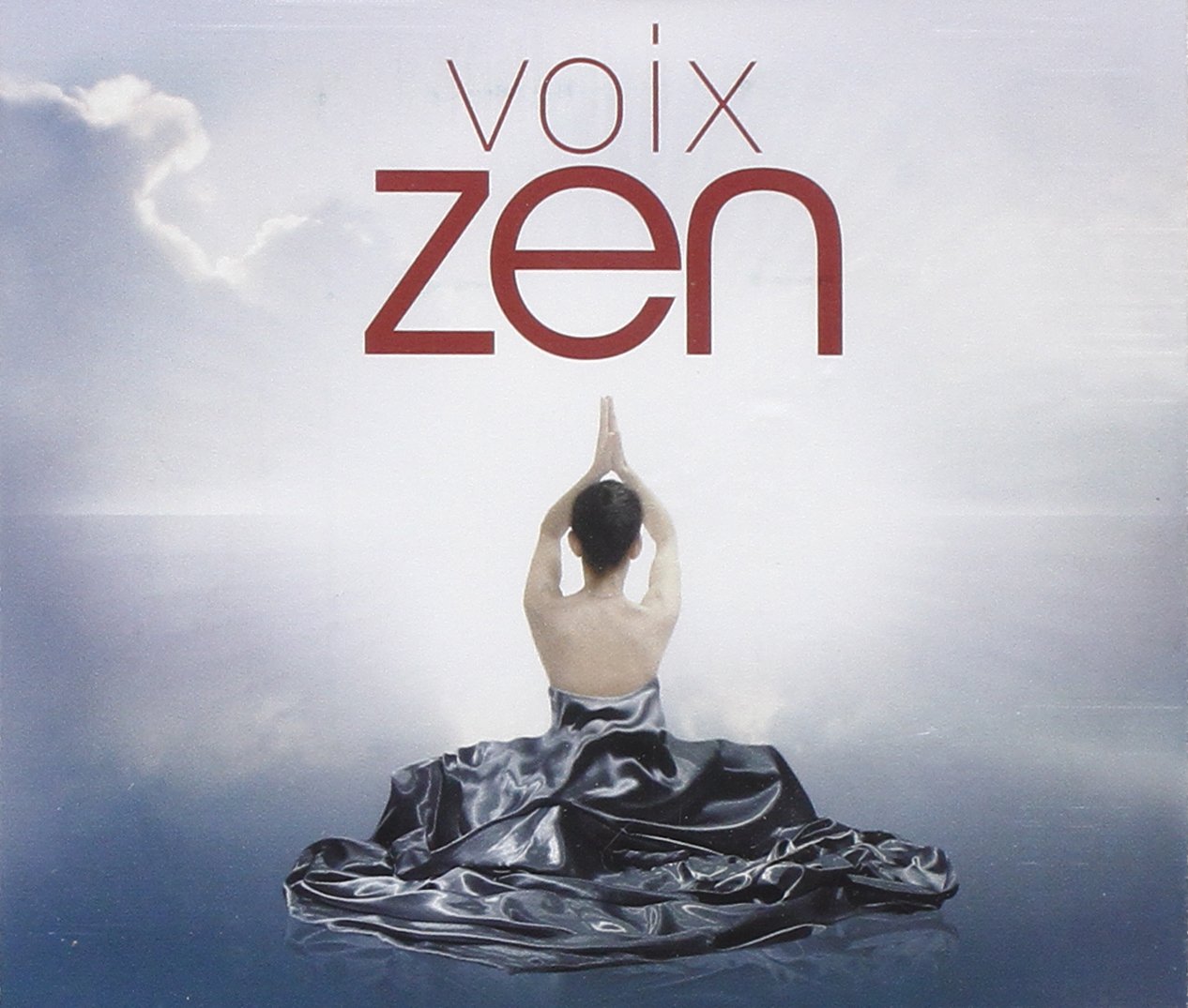 Zen Voix Wireless Bluetooth Headphones - Noise Cancelling Over-Ear Headset with Mic for Music, Gaming & Calls | Comfortable & Lightweight for Travel, Work & Home Use