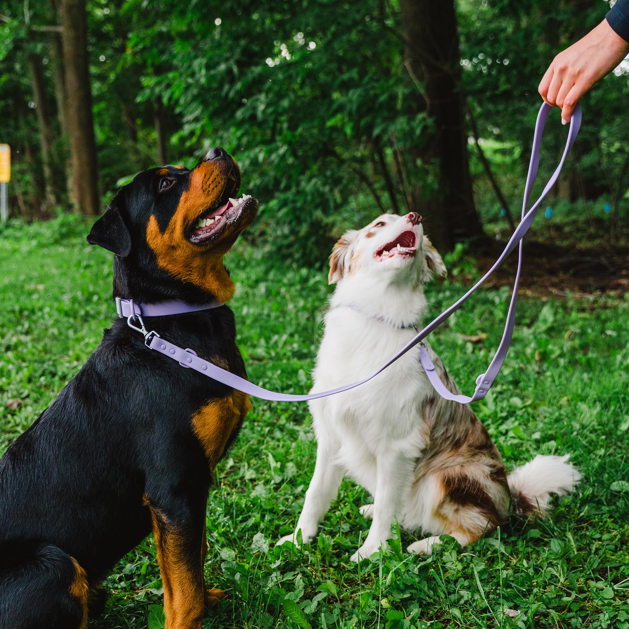 Waterproof PVC Rubber Dog Leash with Dual Clip - BearBone Double Ended Adjustable Leash for Small Dogs | Durable & Versatile for Walking, Training & Outdoor Adventures (Lilac)