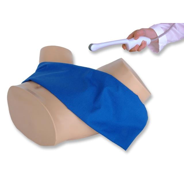General Pathology Transvaginal Ultrasound Training Model - High-Quality Medical Simulation for OB/GYN Education & Clinical Practice - Perfect for Medical Schools, Hospitals & Diagnostic Labs