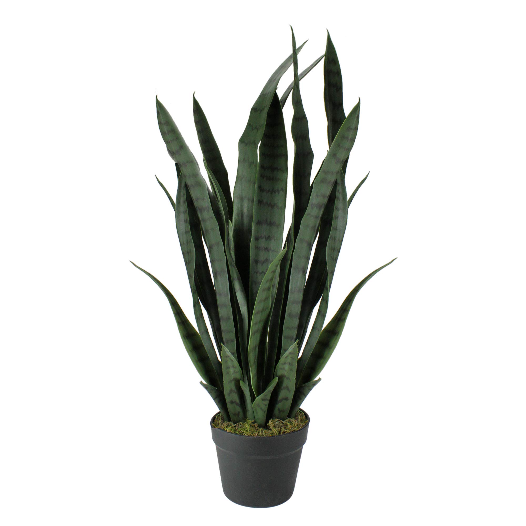 Real Touch™ Artificial Two Tone Potted Snake Plant - 29