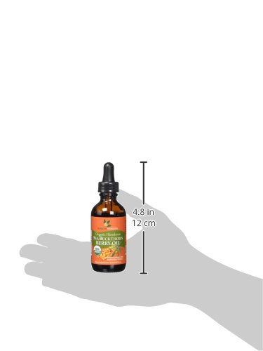 Organic Sea Buckthorn Berry Oil - 100% Pure & Certified, 1.76 Fl Oz (Pack of 12) - Cold Pressed, Rich in Omega 7, for Skin Care, Hair Growth & Immune Support