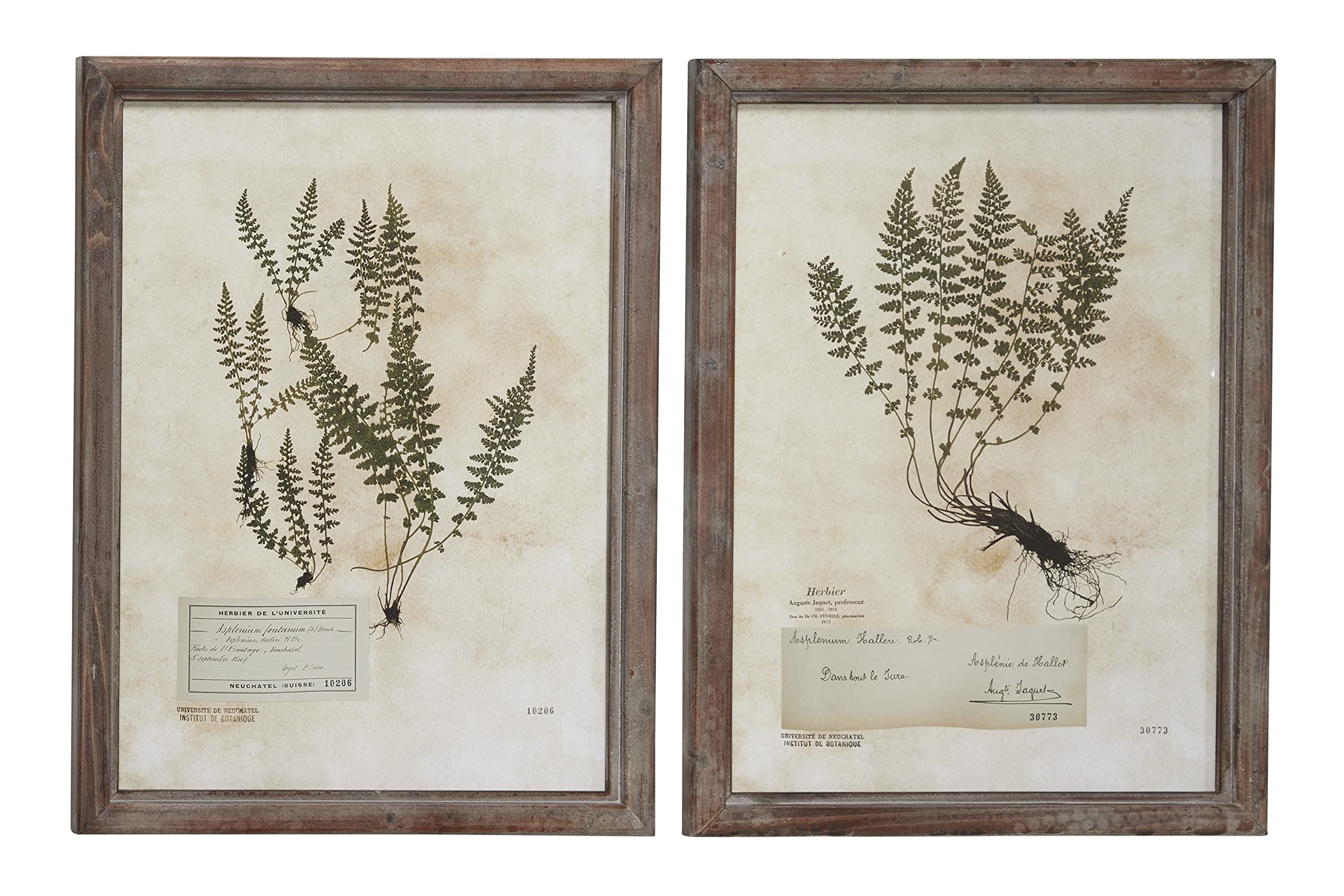 Deco 79 Wood Leaf Framed Wall Art Set of 2 - 21