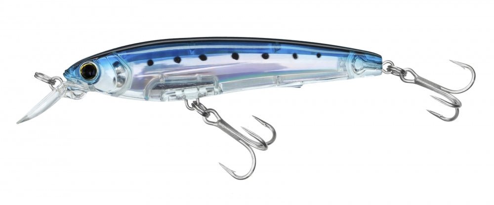 Green Mackerel