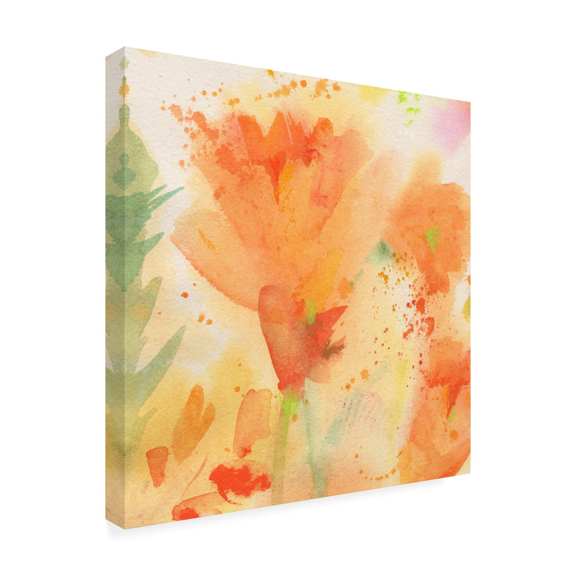 Trademark Fine Art 18x18 Windblown Poppies #2 by Sheila Golde - Stunning Floral Canvas Wall Art for Living Room, Bedroom & Office Decor