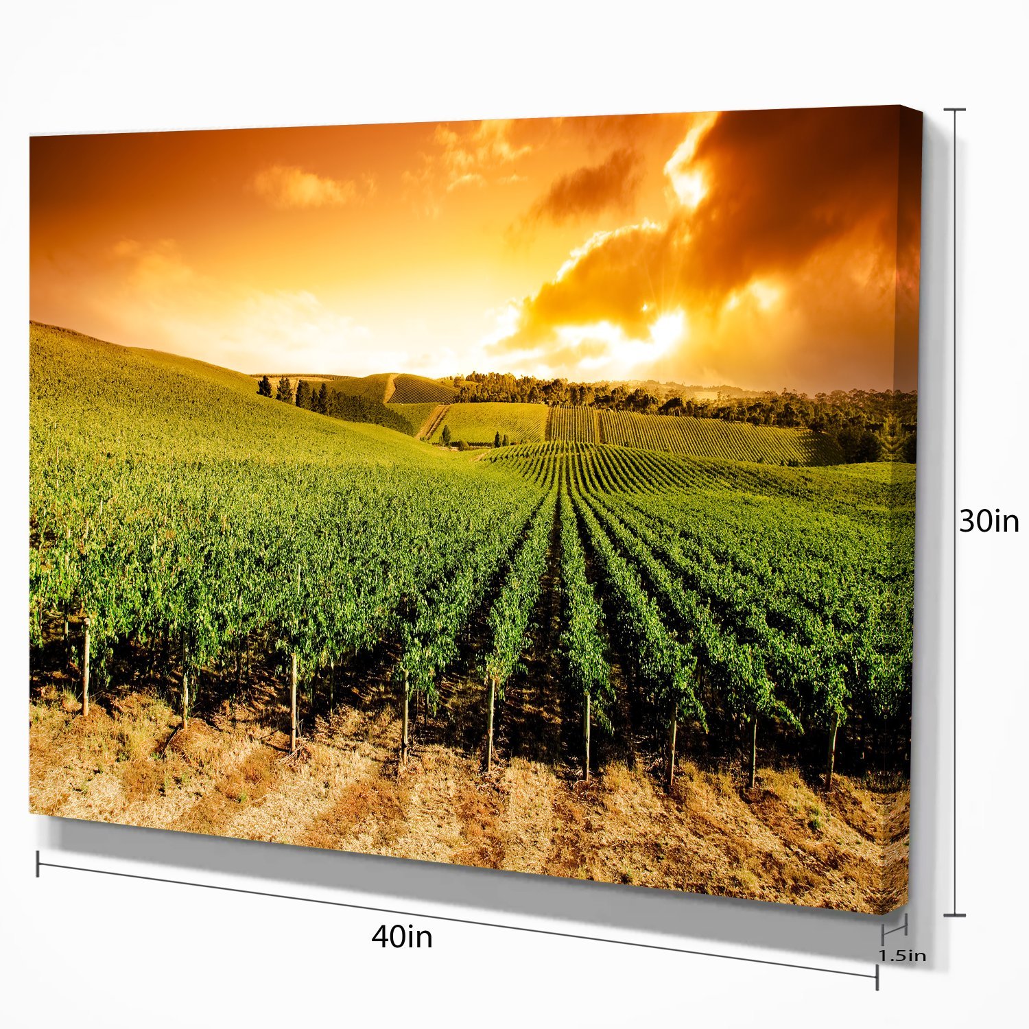 Stunning Sunset Vineyard Panorama Wall Art - Extra Large Landscape Canvas Print for Living Room, Bedroom & Office Decor
