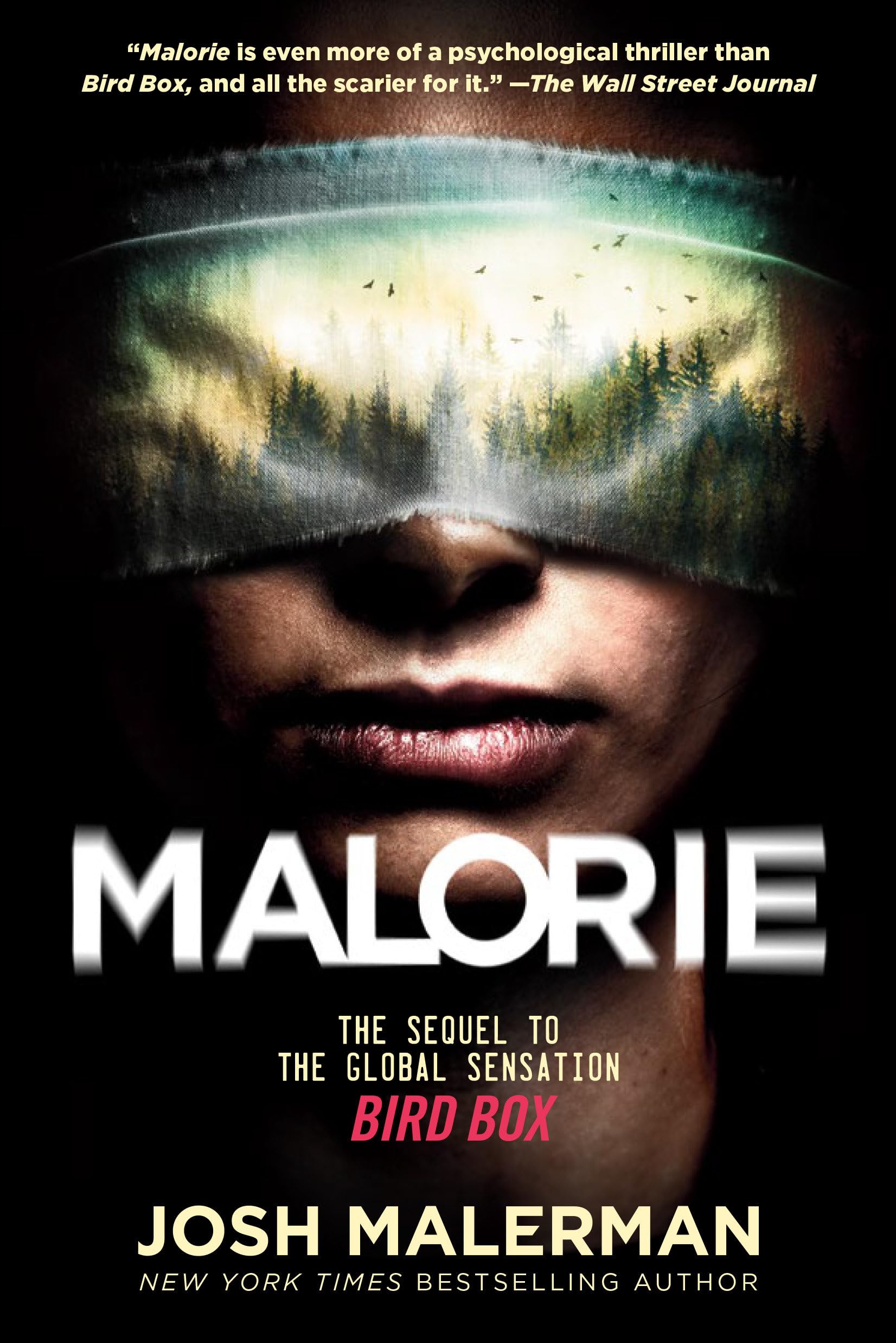 Malorie: The Sequel to Bird Box - Thriller Novel by Josh Malerman | Perfect for Horror Fans & Book Clubs