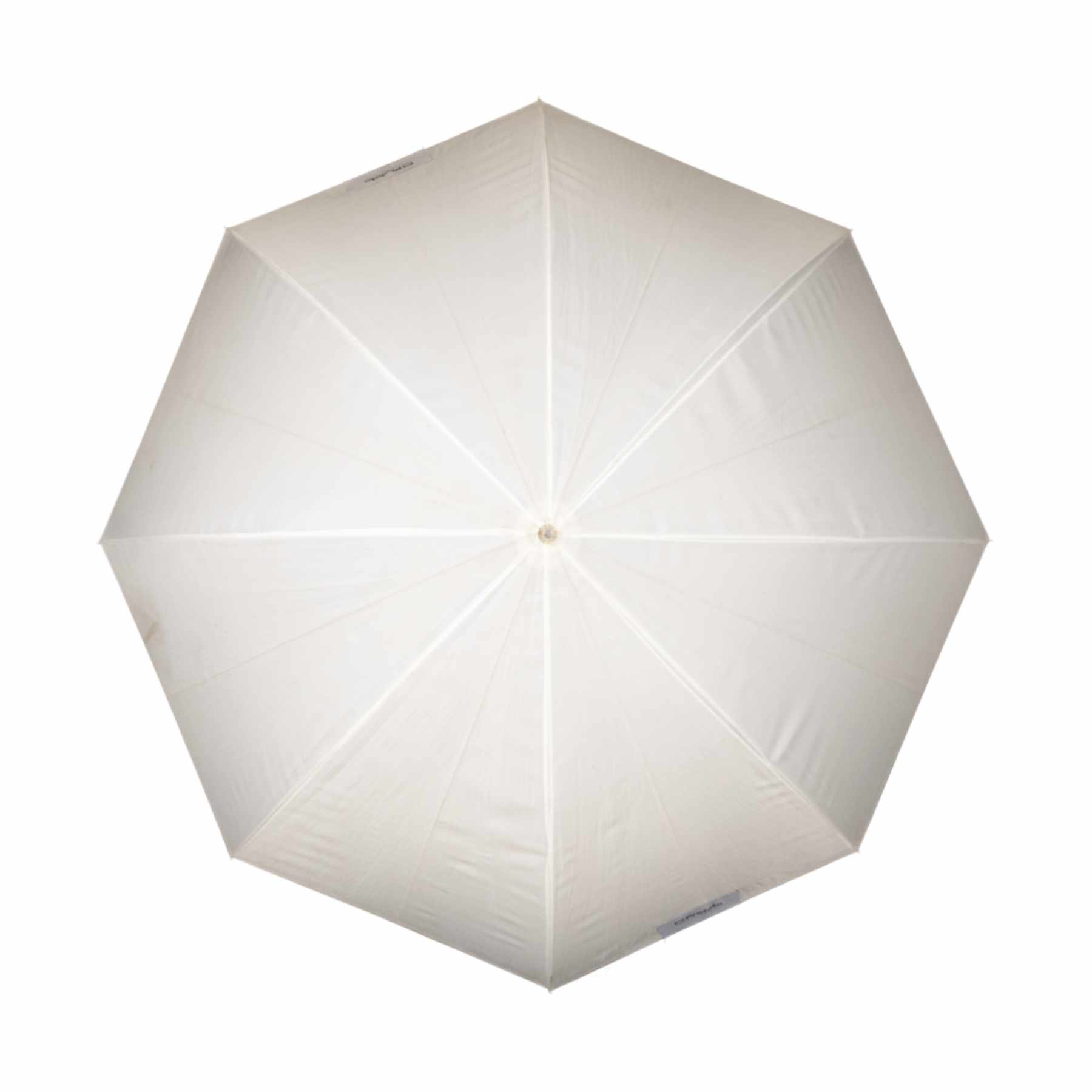 Profoto Medium Shallow Translucent Umbrella - Professional Photography Lighting Modifier for Studio & Outdoor Shoots | Ex-Rental
