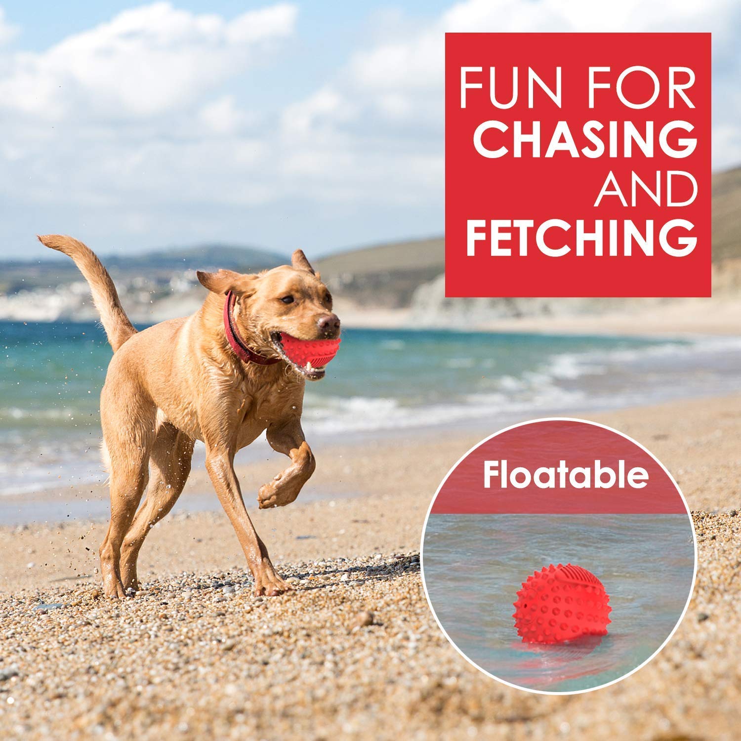 Squeaky Dog Ball and Chew Toy Set for Small & Large Dogs - Durable Pet Chew Toys for Aggressive Chewers - Interactive Play & Teeth Cleaning (Great for Fetch, Training, and Indoor/Outdoor Play)