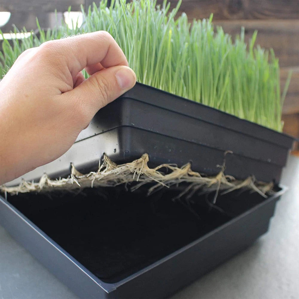 25 Sets Bulk Microgreens Trays - Durable Sprouting Seed Starter Trays for Indoor Gardening, Hydroponics & Organic Farming | Perfect for Home Growers & Commercial Use