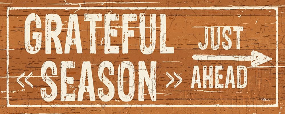 Pela Studio Harvest Signs III Poster Print - 24 x 48 Inches - Vintage Farmhouse Wall Art Decor for Living Room, Kitchen & Office