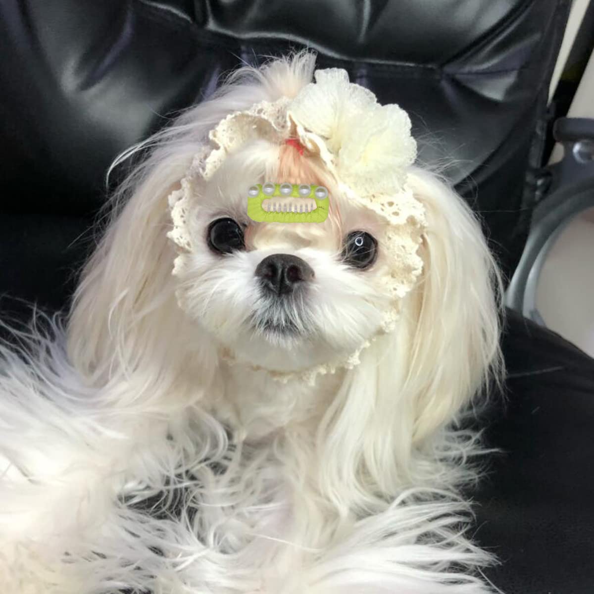 Wepetyo 20 PCS Cute Dog Hair Clips & Topknot Bows for Small Dogs - Pet Grooming Accessories in Mix Colors - Perfect for Puppy Parties, Grooming, and Daily Styling
