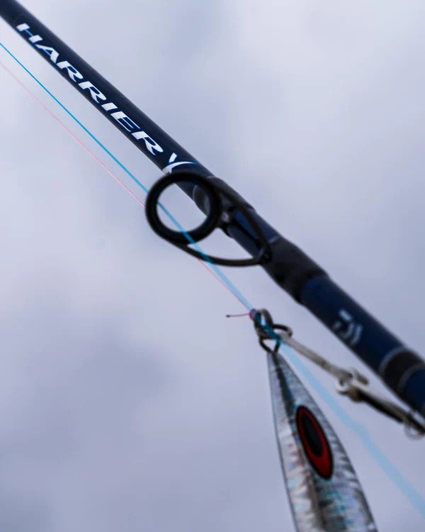 Daiwa Harrier X Jigging and Casting Fishing Rod - Saltwater & Freshwater Spinning Rod for Bass, Trout, and Offshore Fishing - Perfect for Boat, Shore, and Kayak Anglers