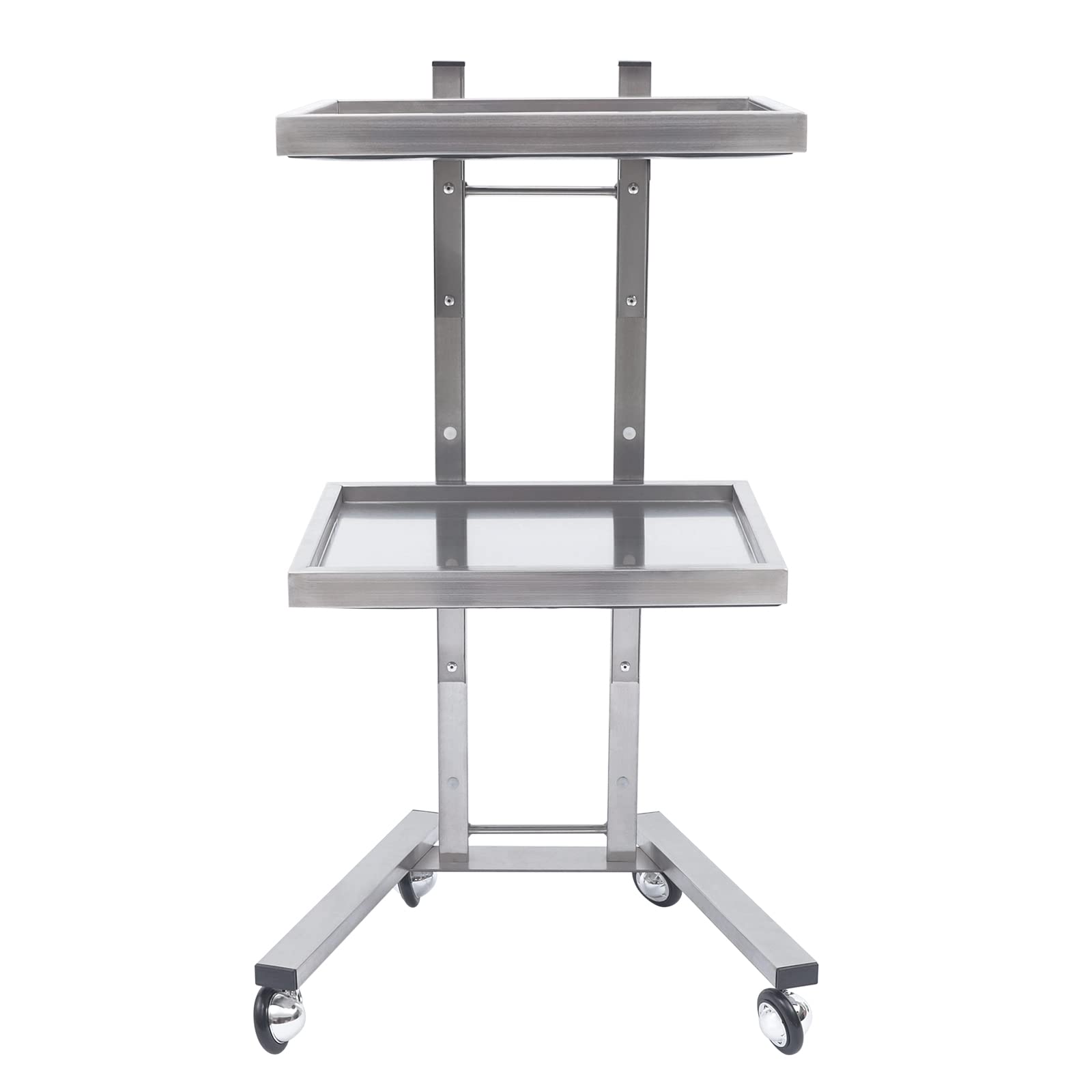 2 Tier Stainless Steel Rolling Cart with Wheels - Foldable Utility Cart for Salon, Tattoo, Kitchen & Office - Mobile Storage Trolley for Beauty Supplies, Tools & Organizing (Silver)