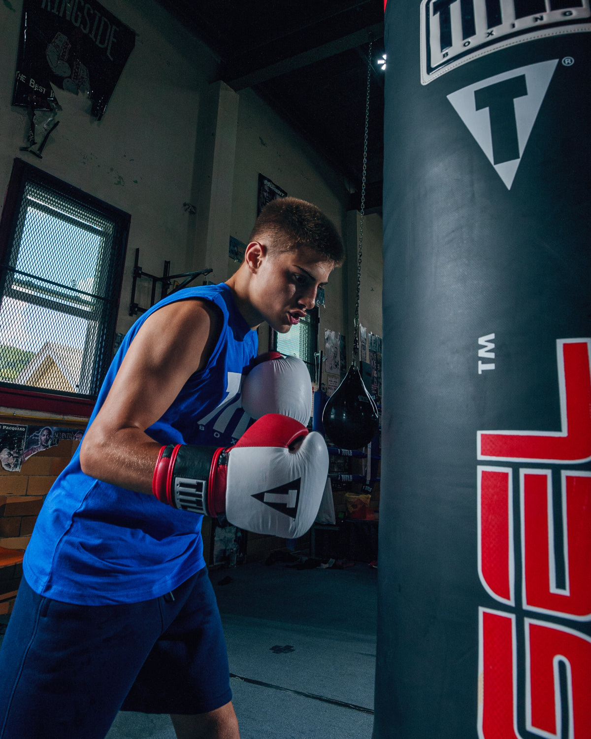 TITLE Boxing Gel Professional Series Training Boxing Gloves - Premium MMA & Kickboxing Gear for Men & Women - Perfect for Gym, Sparring, and Heavy Bag Workouts