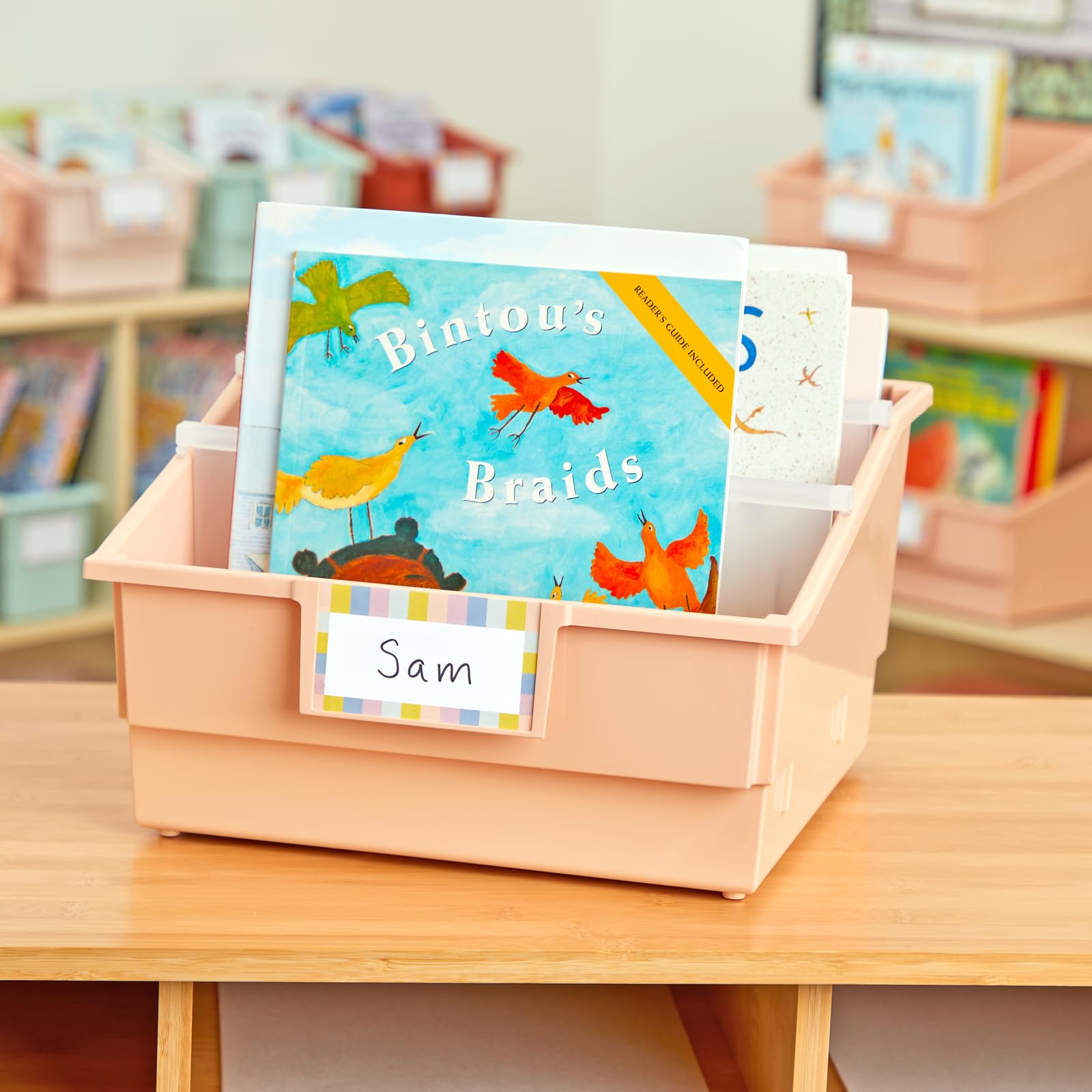 Really Good Stuff Picture Book Classroom Library Bins with Dividers - 6 Pack Peach - Durable Book Storage for Kids | Perfect for Classroom Organization, Homeschooling & Daycare Centers