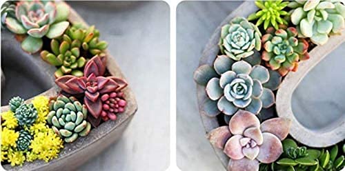 Premium Silicone Concrete Flower Pot Molds - Heart-Shaped DIY Planter Molds for Succulents, Cement & Clay Crafts | Perfect for Home Garden Decor, Wedding Favors & Handmade Gifts