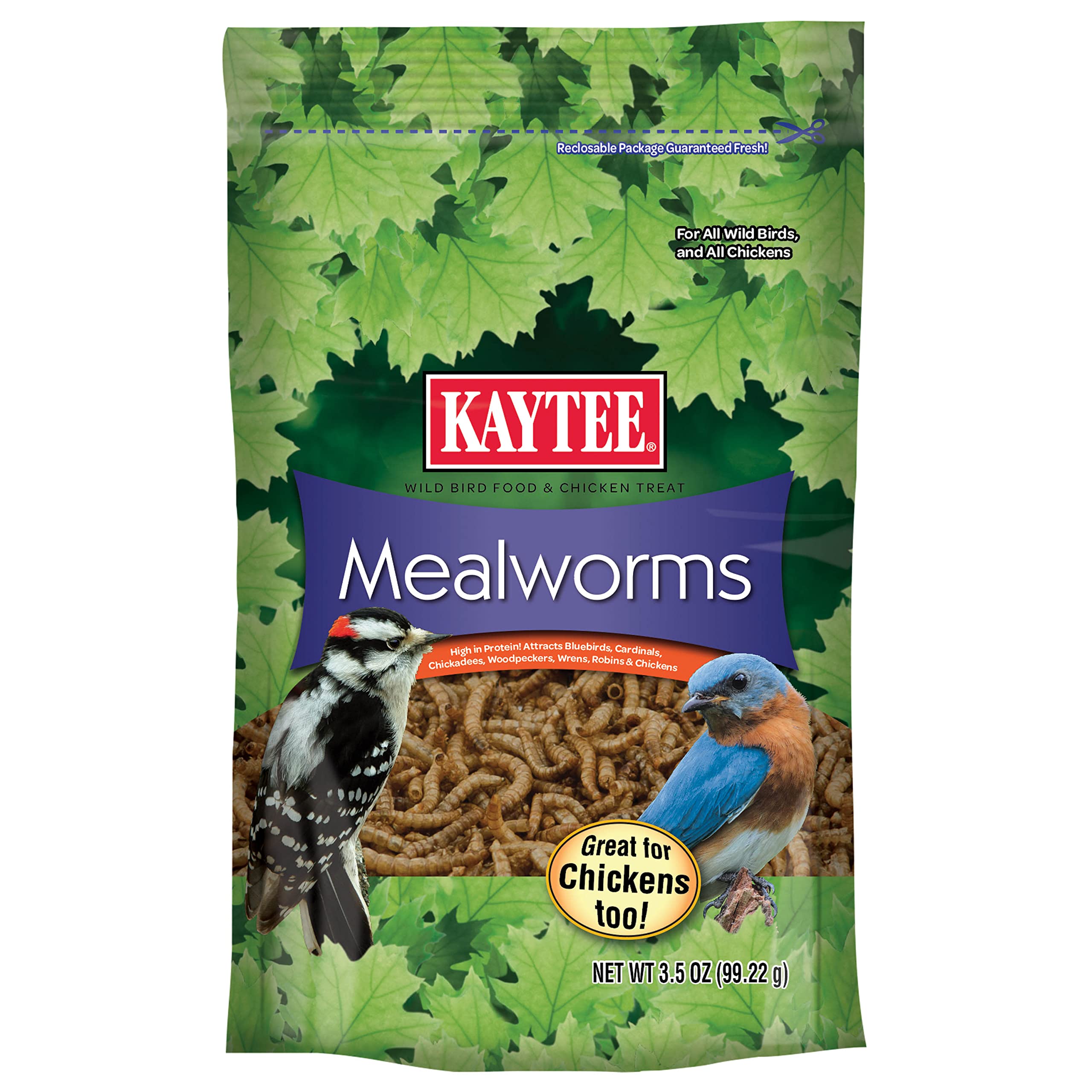 Kaytee Dried Mealworms for Birds - High Protein Natural Bird Food - Perfect for Wild Birds, Chickens, Ducks & Reptiles - Ideal for Backyard Feeding & Pet Nutrition