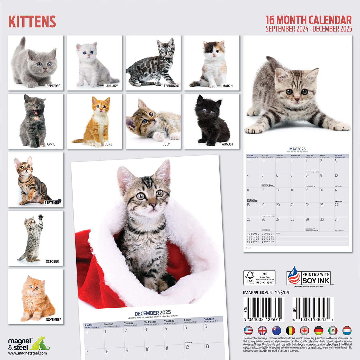 2025 Modern Kitten Calendar - Adorable Cat Themed Planner for Home & Office Decor | Perfect for Cat Lovers, Wall Hanging, Gift Ideas