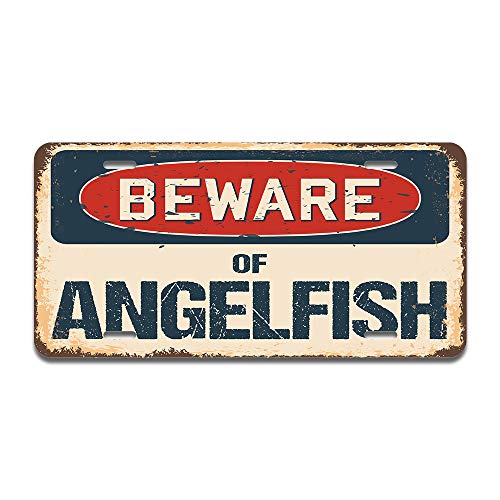 Beware of Angelfish