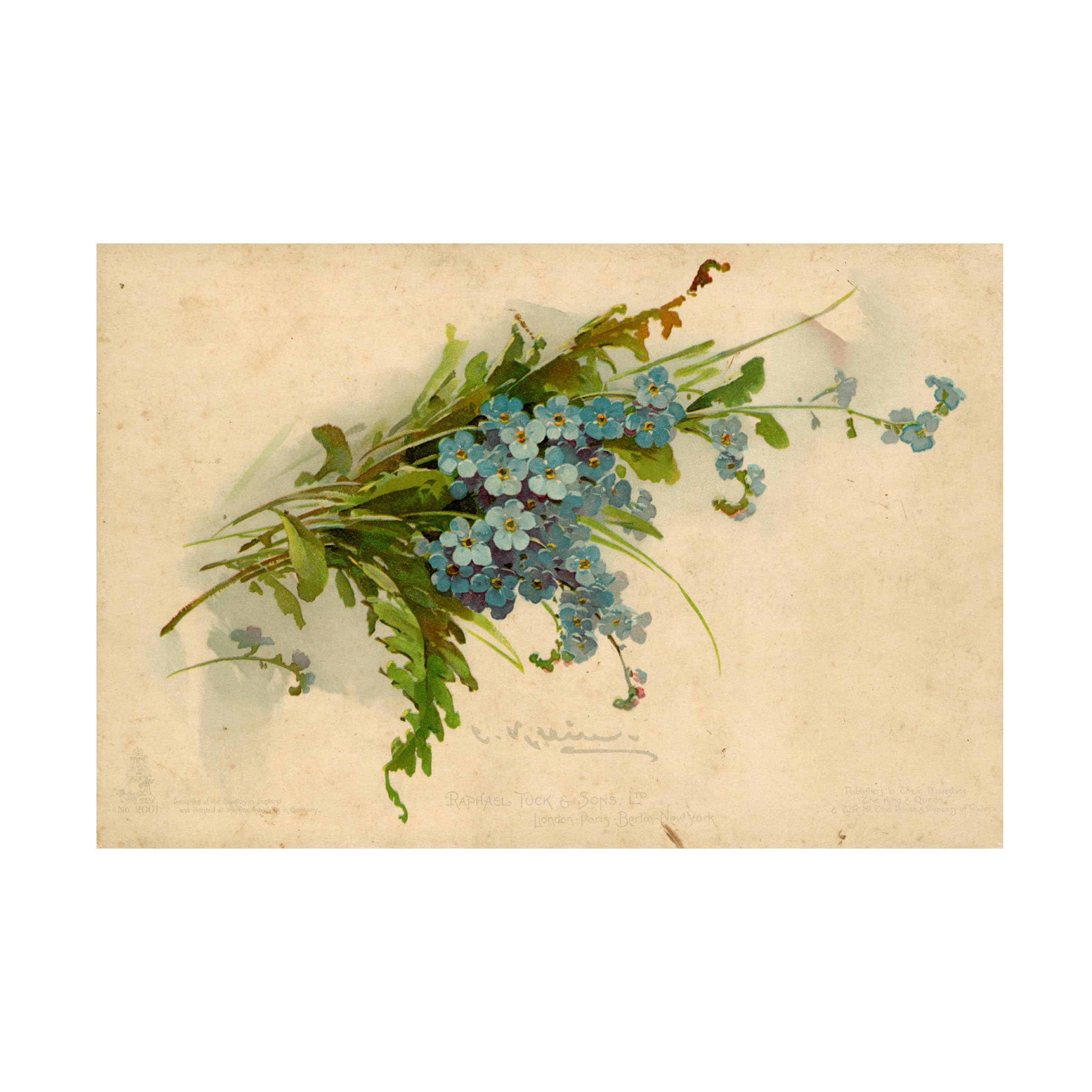 Trademark Fine Art 'Forget Me Not' Floral Canvas Wall Art Print - Perfect for Living Room, Bedroom & Office Decor