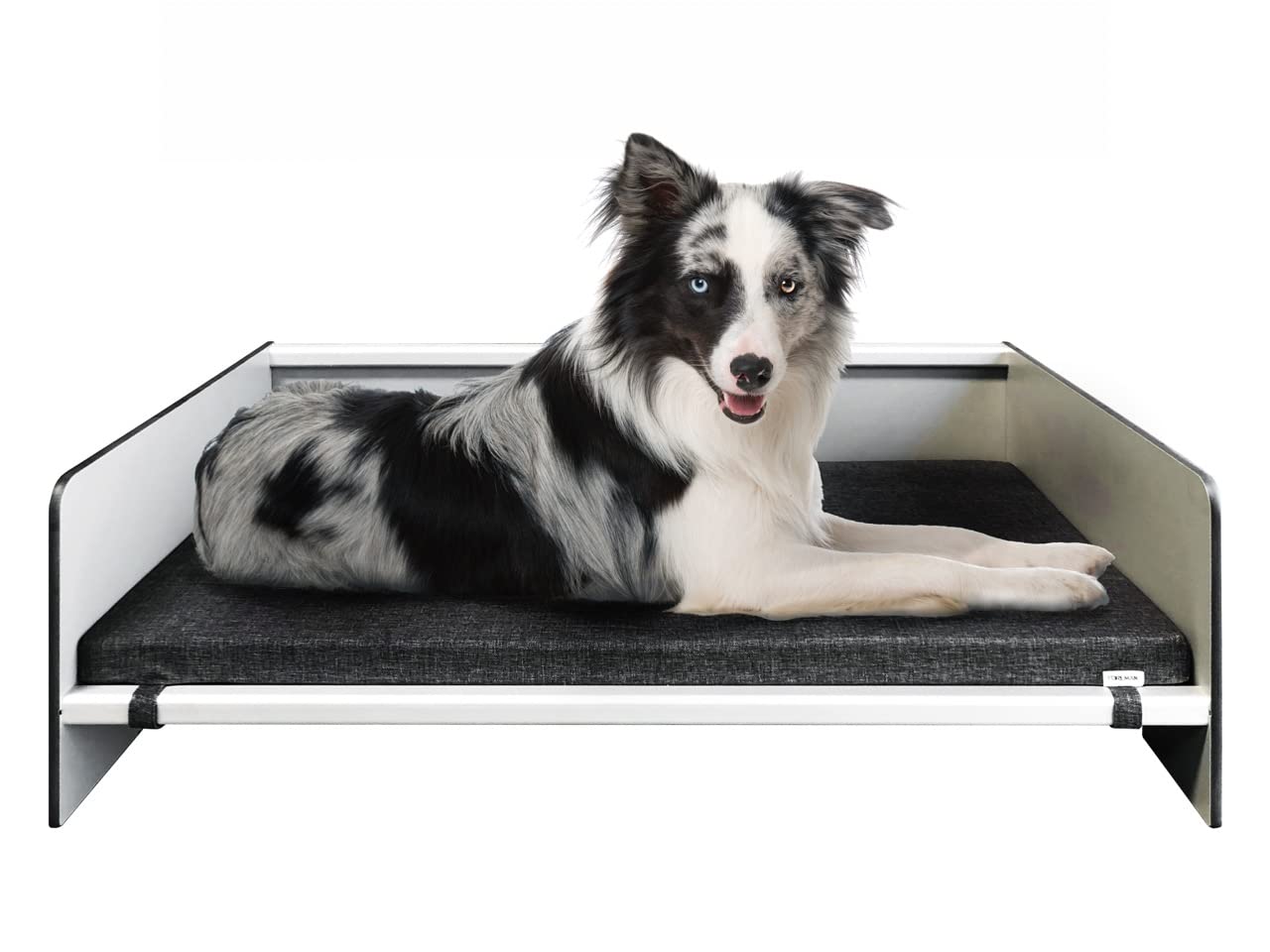 Foreman Waterproof Modern Comfort Dog Bed with Backrest - Durable Pet Bed for Dogs & Cats | Compact Laminate & Aluminum Frame | Dark Grey Mattress Included | Perfect for Living Room, Bedroom & Pet-Friendly Spaces