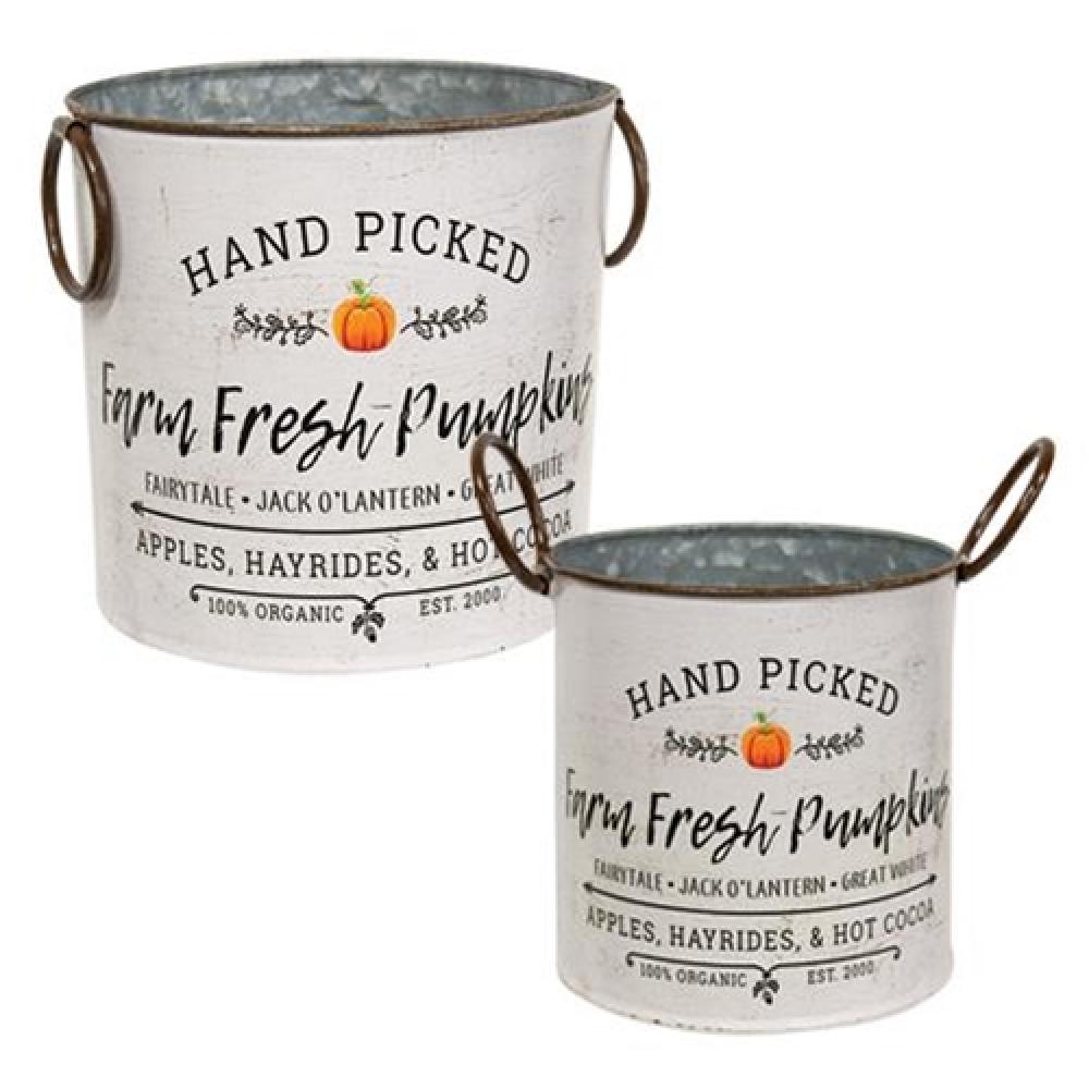2-Pack Farm Fresh Pumpkin Buckets - Perfect for Fall Decor, Thanksgiving Centerpieces, and Harvest Party Decorations
