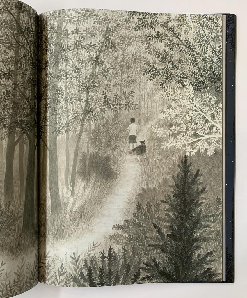 Kim Jihyun: The Depth of the Lake and the Height of the Sky - Korean Art Book for Home Decor & Office Inspiration
