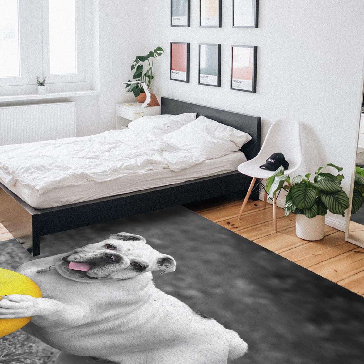 French Bulldog Yellow Ball Grey Background Washable Area Runner Rug 3'x5' - Non-Slip Indoor Outdoor Carpet for Kitchen, Living Room, Bathroom, Bedroom, Classroom & Laundry Room - Perfect as Doormat, Welcome Mat or Desk Floor Mat