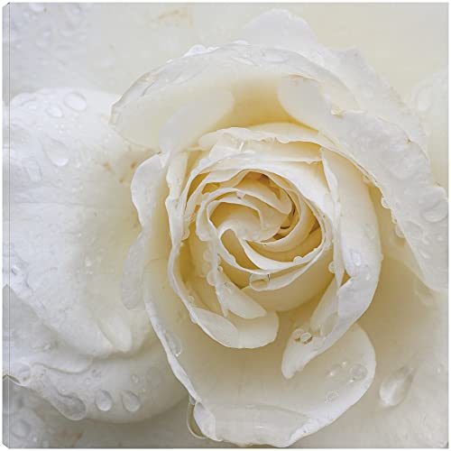 Dewdrops