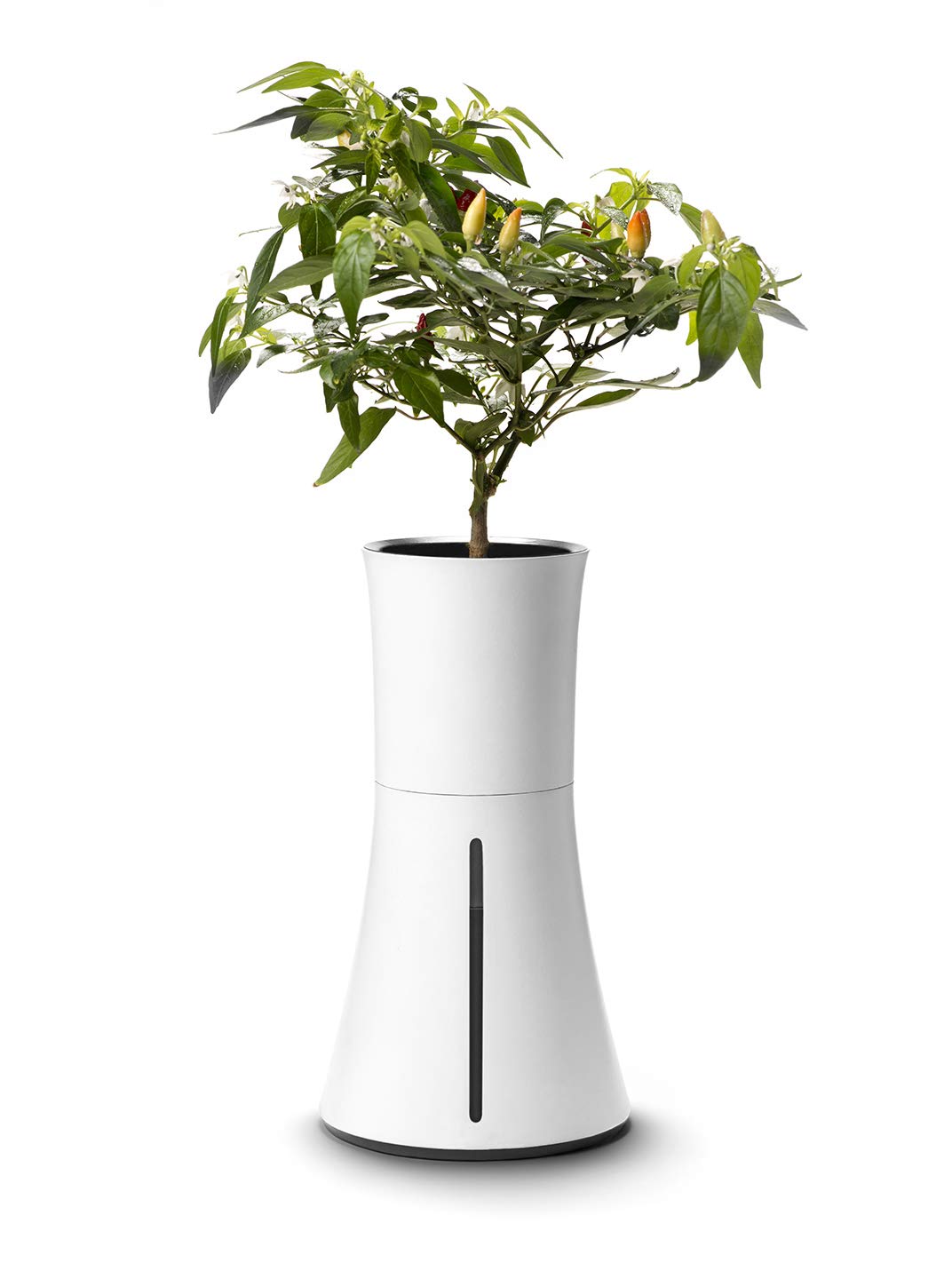 Botanium Hydroponic Indoor Garden System - Automatic Self-Watering Planter for Herbs, Vegetables & Flowers | Perfect for Kitchen, Office & Small Space Gardening (White)